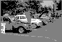 Image of old Volvos lined up